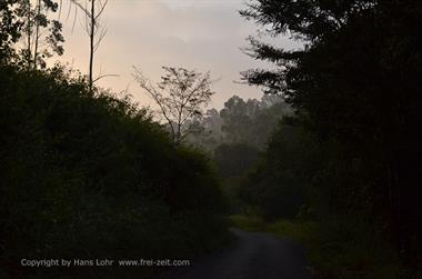 Periyar N.P., Thekkadi_DSC7285_H600